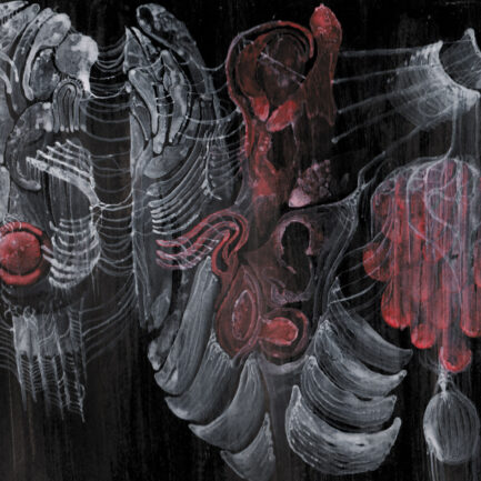 STRIGIFORM - Aconite CD [PRE-ORDER]